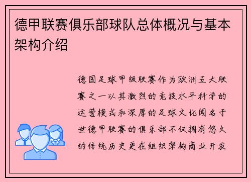 德甲联赛俱乐部球队总体概况与基本架构介绍